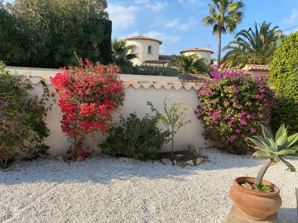 The Best Holiday Villa Calp Extérieur photo